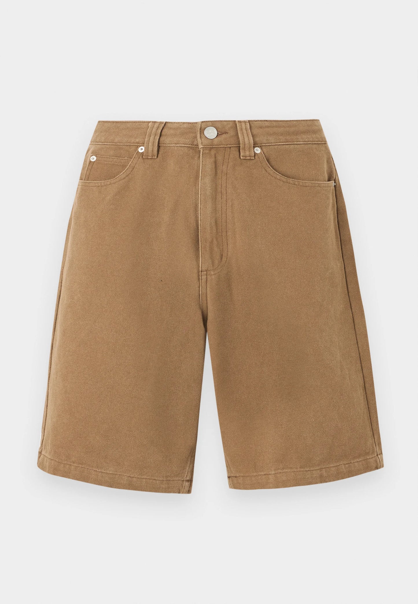 Santa Cruz Big Shorts Canvas
