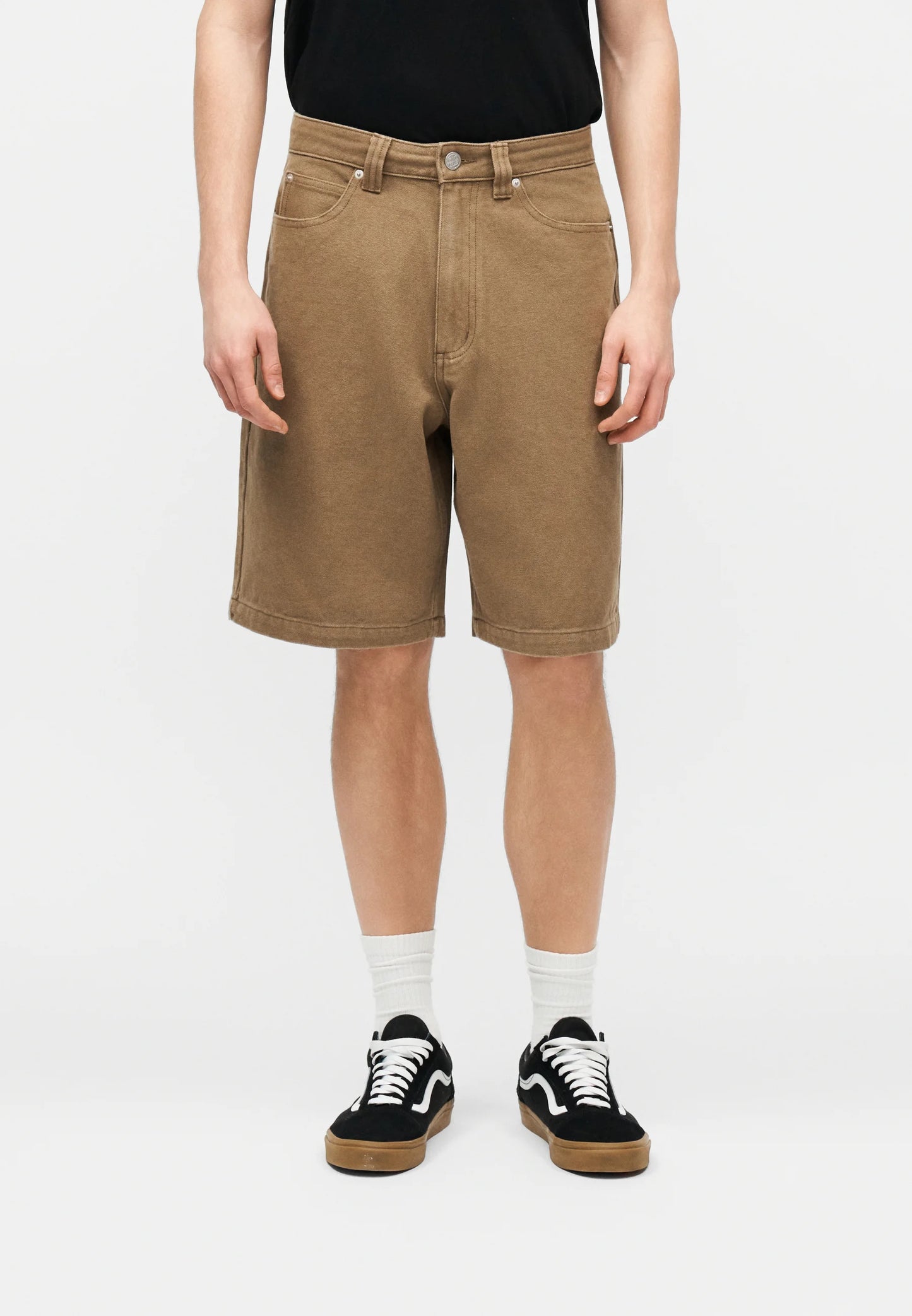 Santa Cruz Big Shorts Canvas