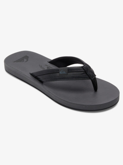 Quiksilver Carver Squish