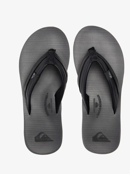 Quiksilver Carver Squish